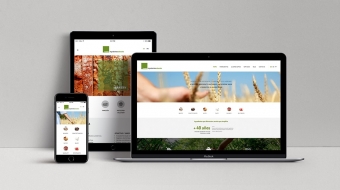 trades_digital_1-min